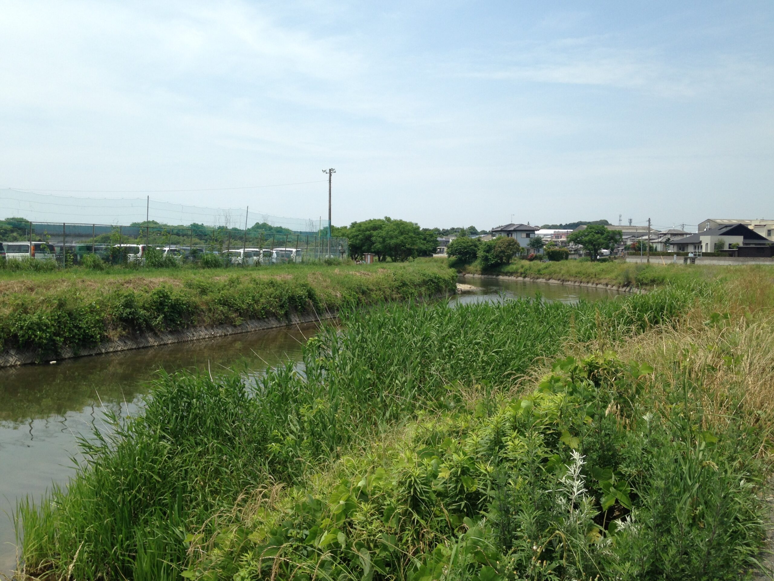 須恵町内を流れる須恵川。両岸に草が茂る