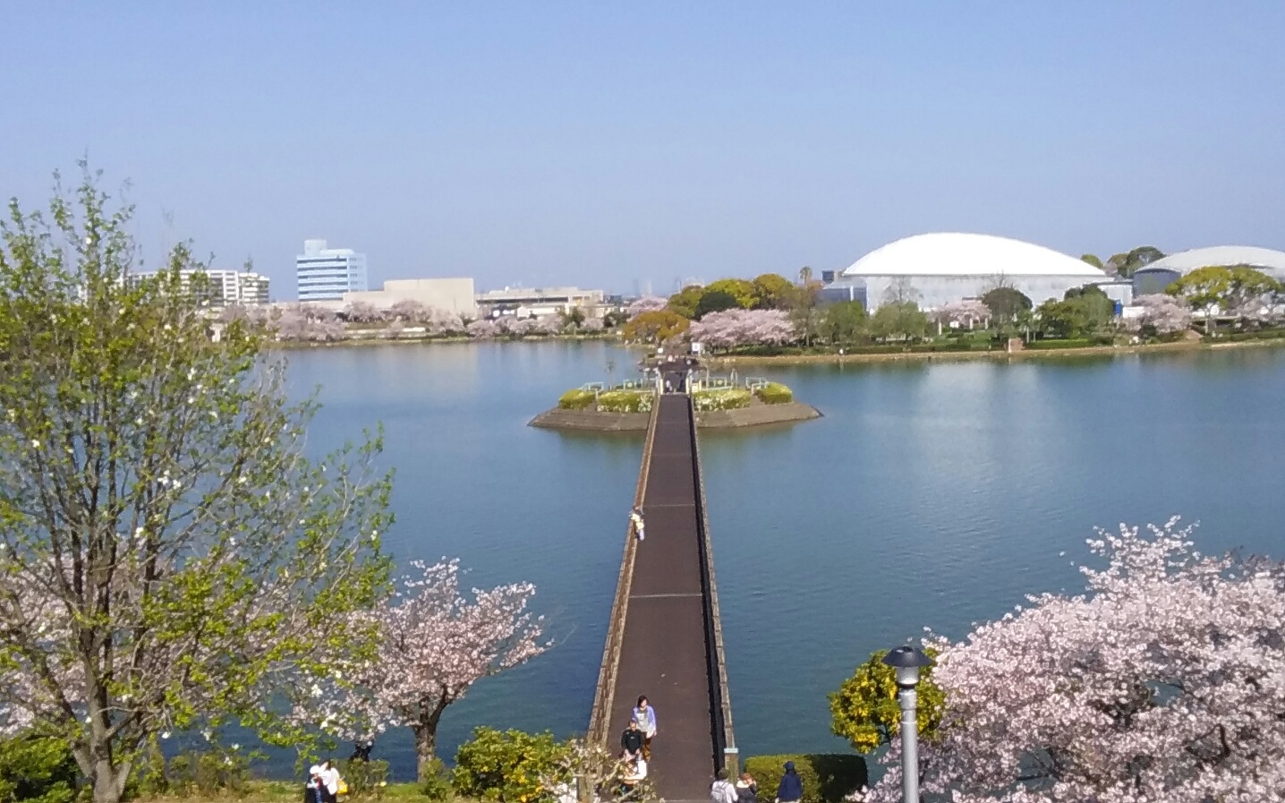 桜が咲く粕屋町の駕与丁公園