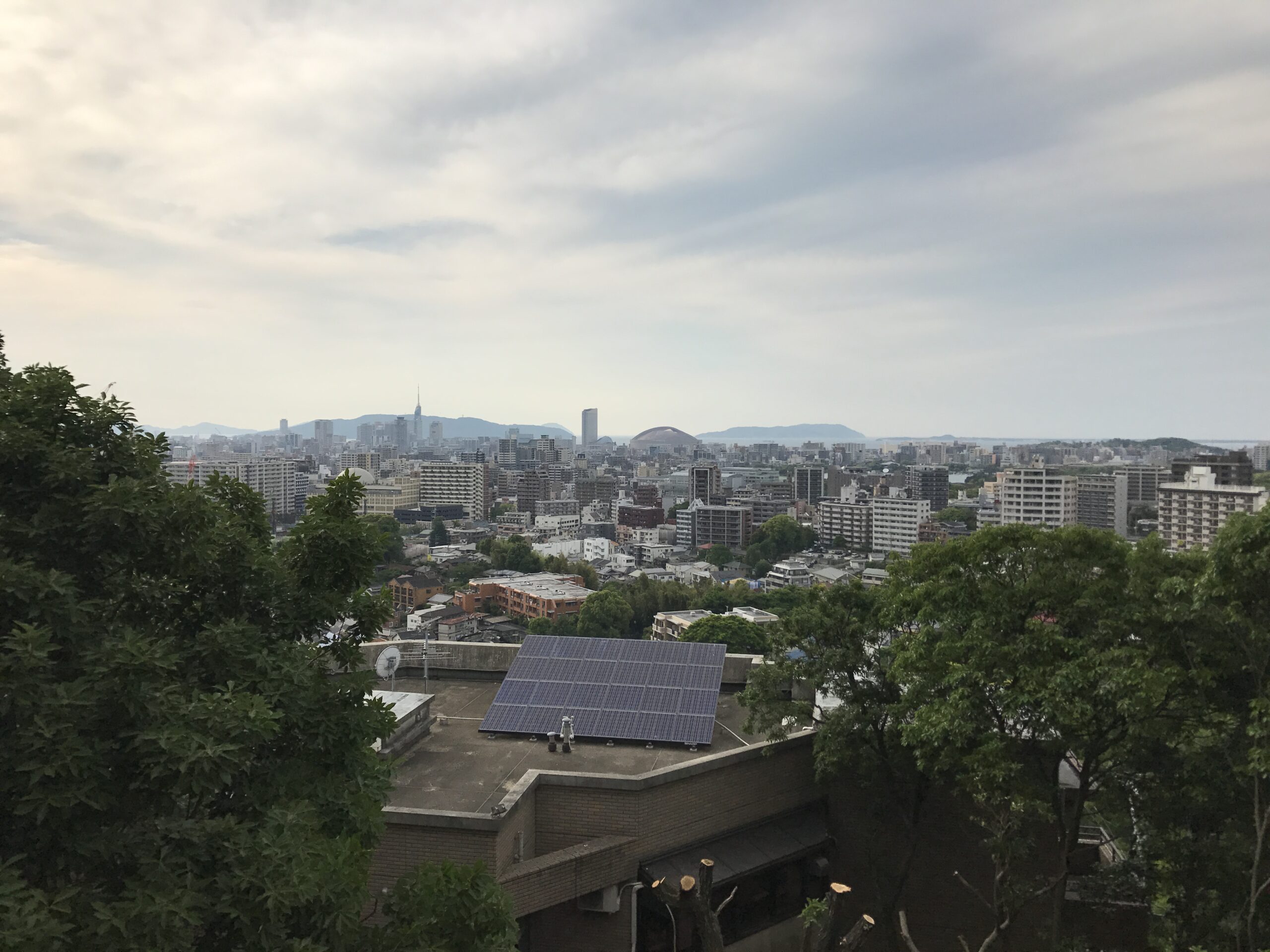 南公園西展望台から見た福岡市内（福岡ドーム方面）